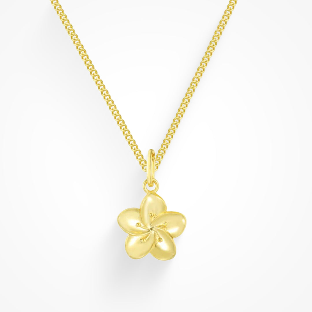 Anna Collar Minimalista Versátil