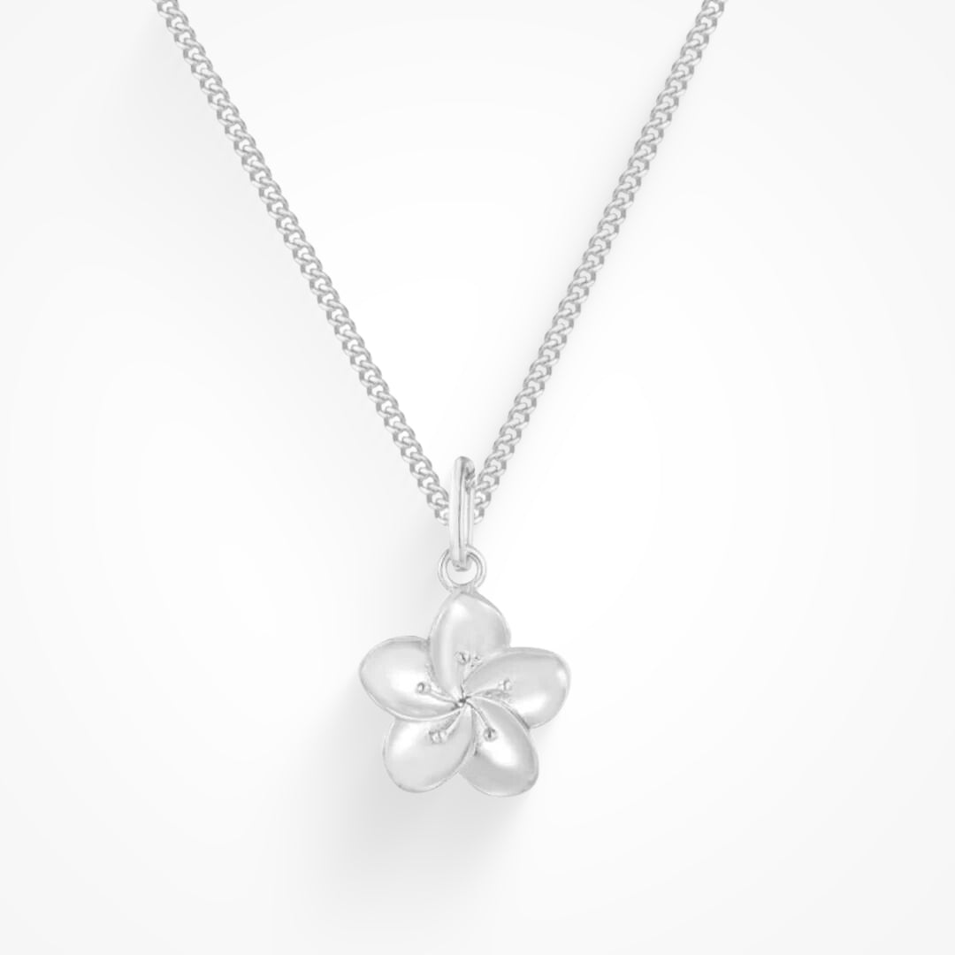 Anna Collar Minimalista Versátil